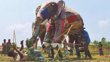 elephant1.jpg