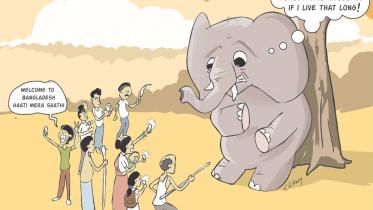 Elephant's Mouth