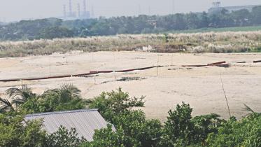 farmland.jpg