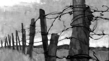 fence.jpg