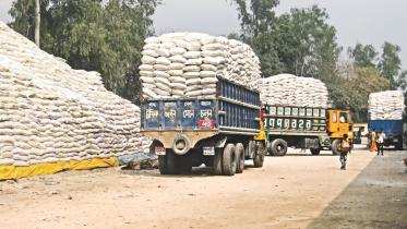 fertiliser.jpg