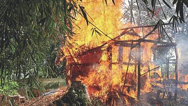 Fire.jpg