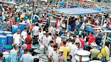 Fish-market.jpg
