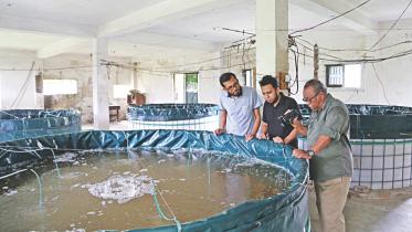 fish farming.jpg