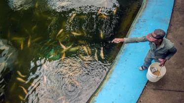 fish new.jpg