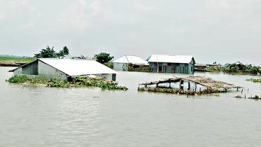 Flood.jpg
