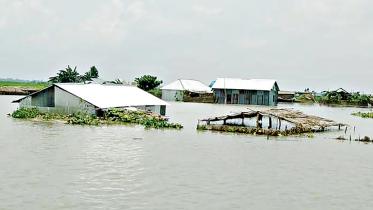 flood_40.jpg