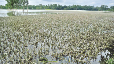 Floods damage.jpg
