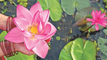 Flower.jpg