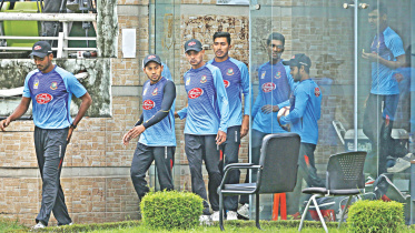 focus cricket 1.jpg