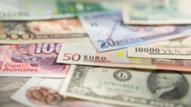 Foreign Currency Loans