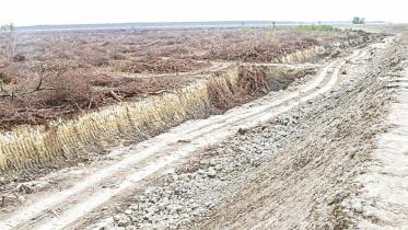 forest land 1.jpg