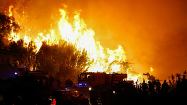 French-fire-wb.jpg