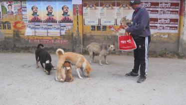 Friend of dogs.jpg