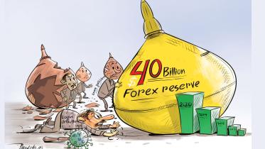 frorex-reserve.jpg