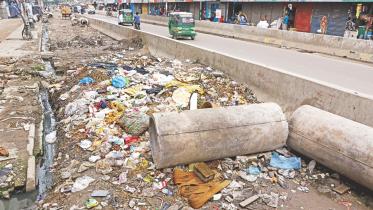 garbage road.jpg