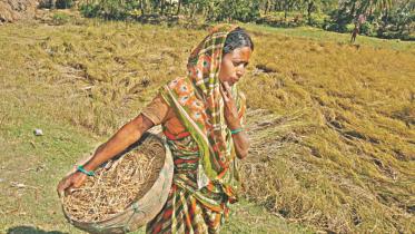 gender sensitivity