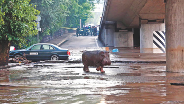 gorgia flood 1.jpg