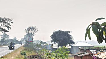 govt land 1.jpg