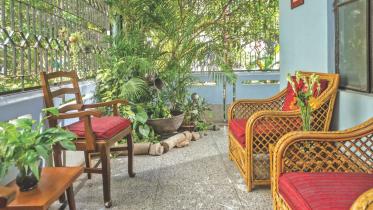Green Veranda