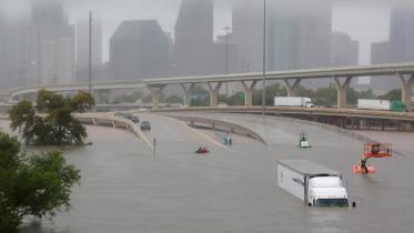 harvey-web.jpg