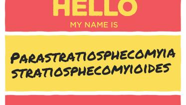Hello.jpg