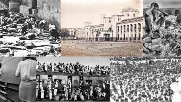 history