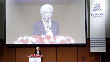 IMF.jpg