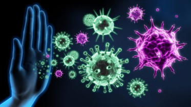 immune-system-coovid19.jpg