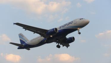 indigo-web.jpg