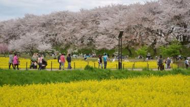 Japan-Tokyo.jpg