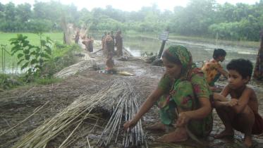 jhenaidah.jpg
