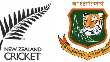 kiwi bd logo.jpg