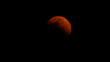 lunar-wb.gif