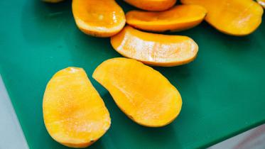 Chapainawabganj mango