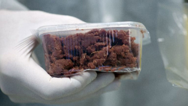 Meat.jpg