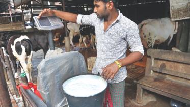 milk 1.jpg
