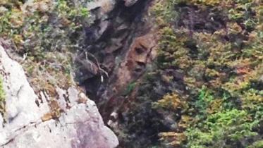mountain-face-canada-wb.jpg