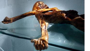 mummy1.jpg