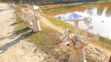 mushroom park 1.jpg