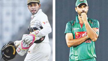 mushy mortaza.jpg