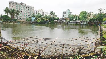 My first pond.jpg