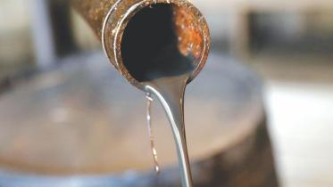 Oil.jpg