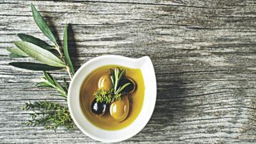 Olive Harvest