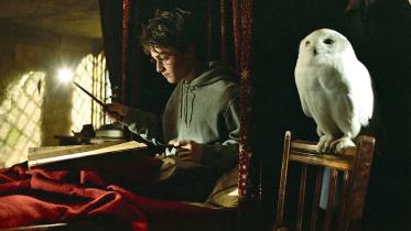 owl.jpg