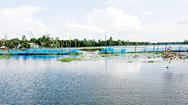 Paikora-of-Kalihati-upazila-1.jpg