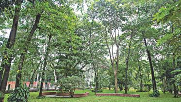 park Baridhara.jpg