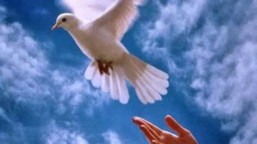 peace.jpg