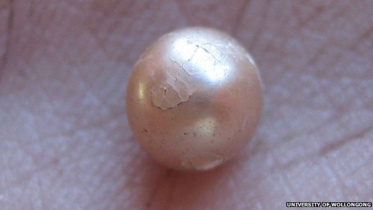 pearl new.jpg