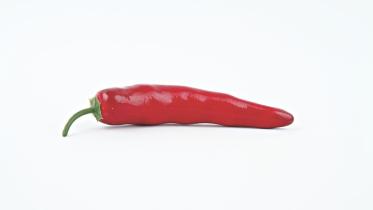 Pepper Trigger